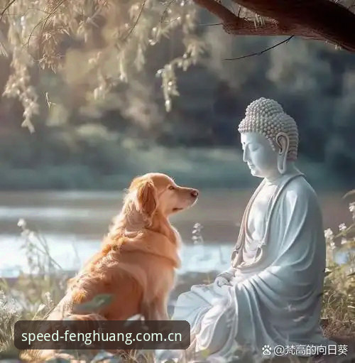 转会是一门玄学，十六年真的可以等来一次“回家”。